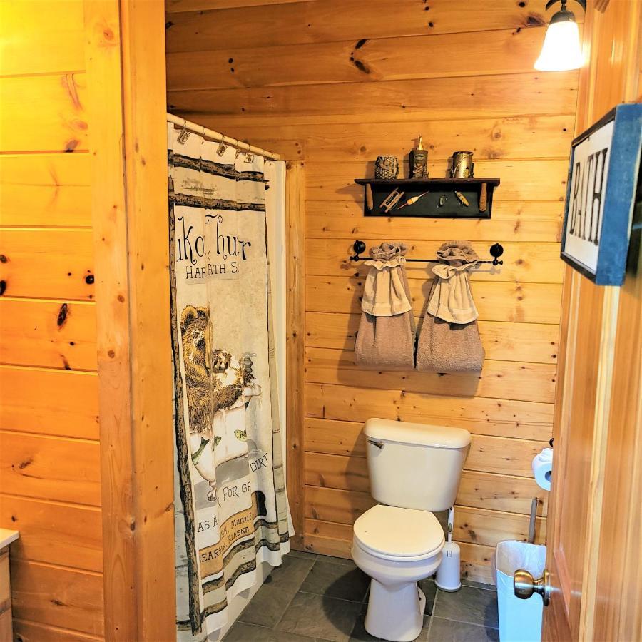 Skinny Dippin'-River Front- Free Tickets-Dog Friendly-Sleeps 6 비둘기 포지 외부 사진