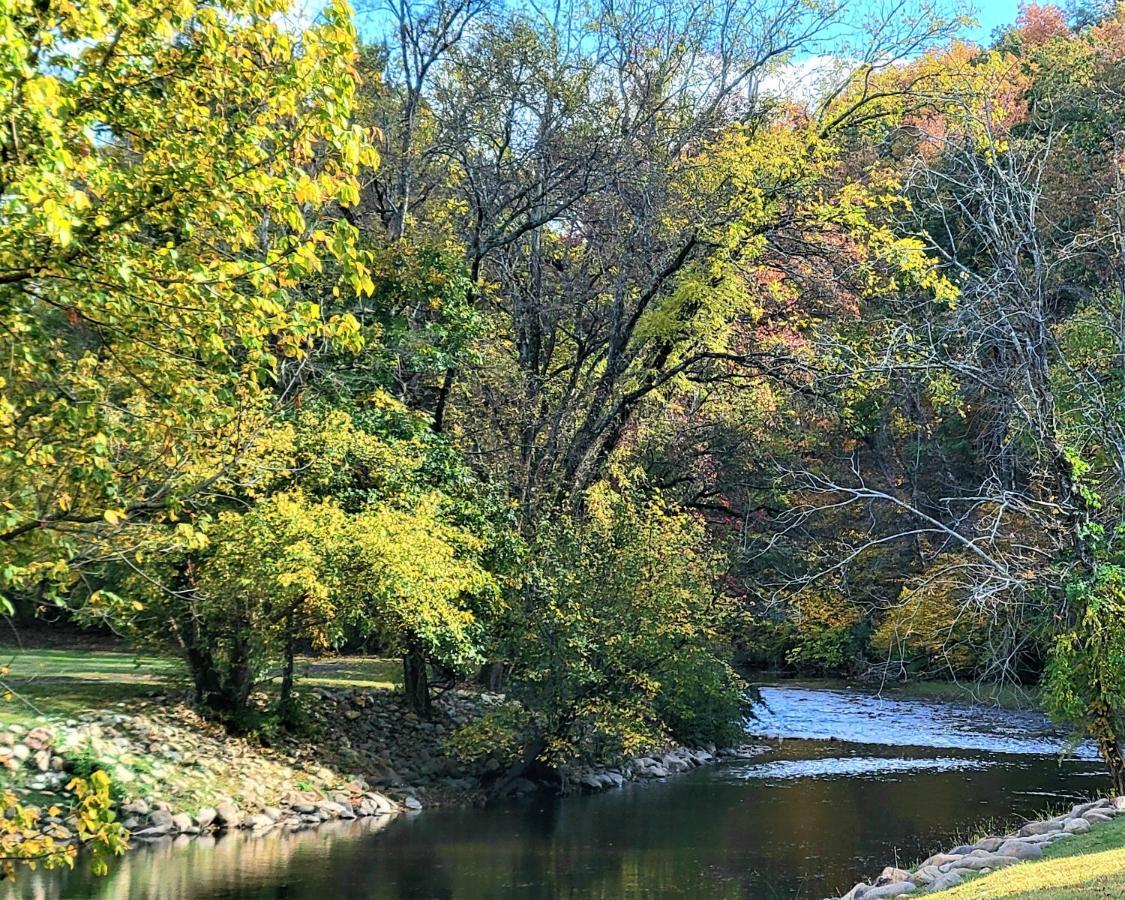 Skinny Dippin'-River Front- Free Tickets-Dog Friendly-Sleeps 6 비둘기 포지 외부 사진