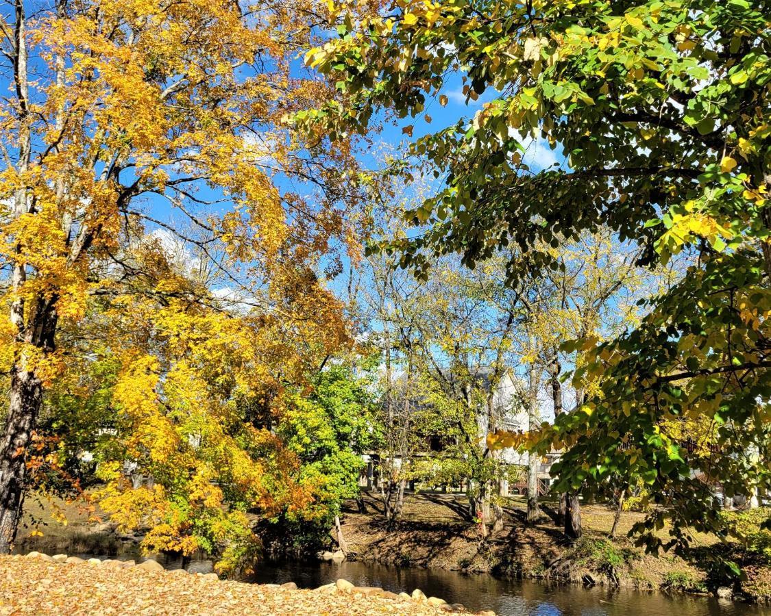 Skinny Dippin'-River Front- Free Tickets-Dog Friendly-Sleeps 6 비둘기 포지 외부 사진